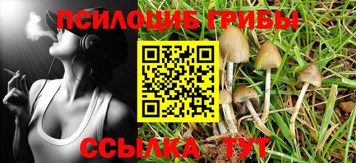 Псилоцибиновые грибы Cubensis Альметьевск