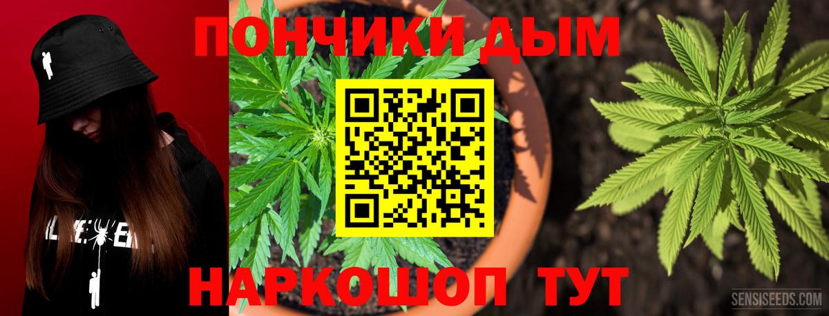 Шишки марихуана семена  Бошки Шишки индика  Каннабис индика  Альметьевск  Конопля гибрид  Вход с VPN 